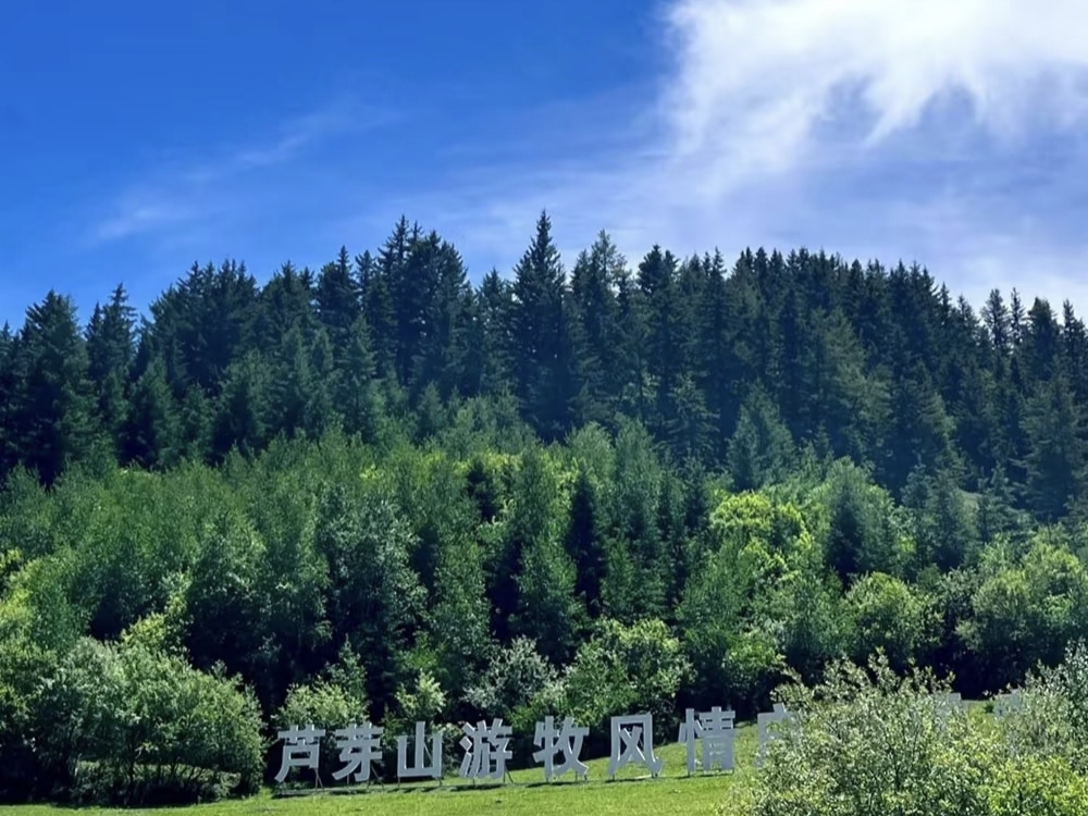 芦芽山