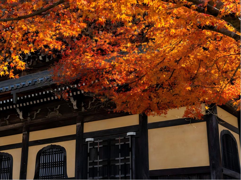 南禅寺
